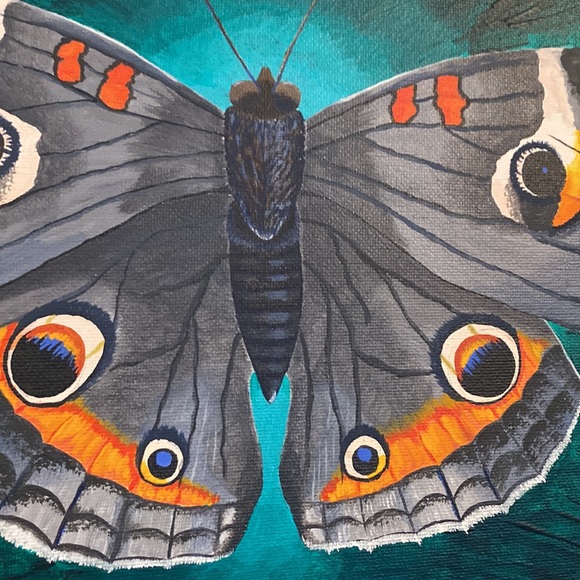 Buckeye Butterfly Artwork - Picture 2 of 2